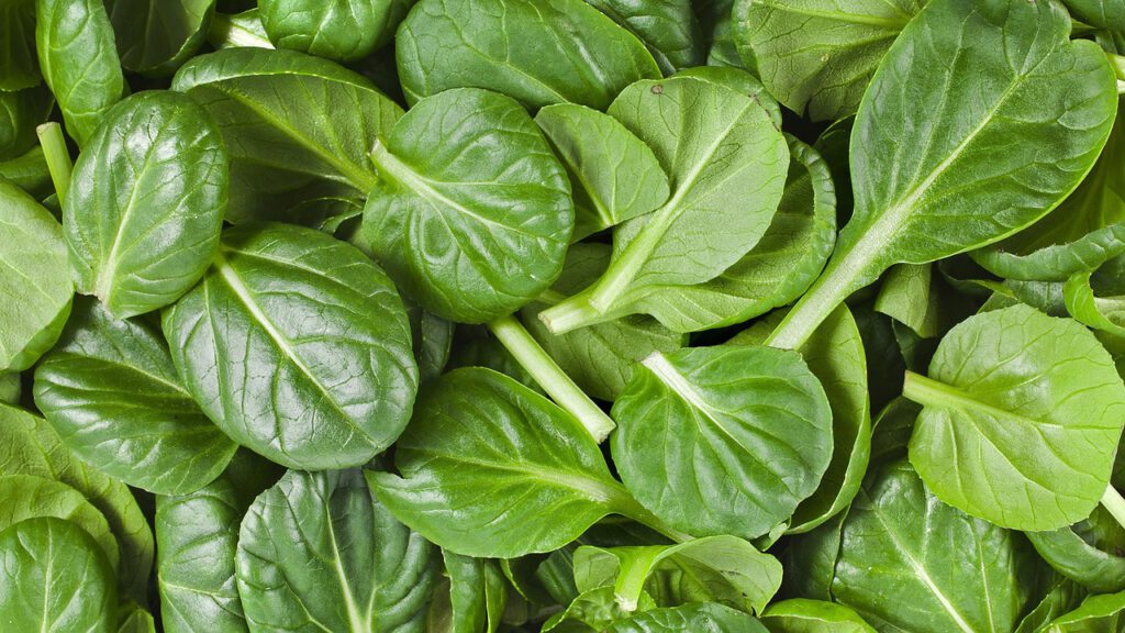 spinach, organic, healthy-1501218.jpg